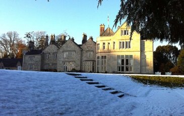 Luxury Festive Stay
