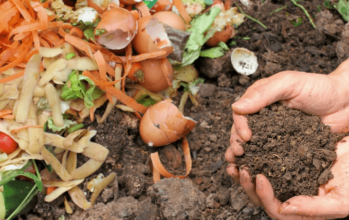Waste Management
