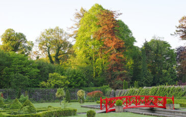3 for 2 Self-Catering Offer